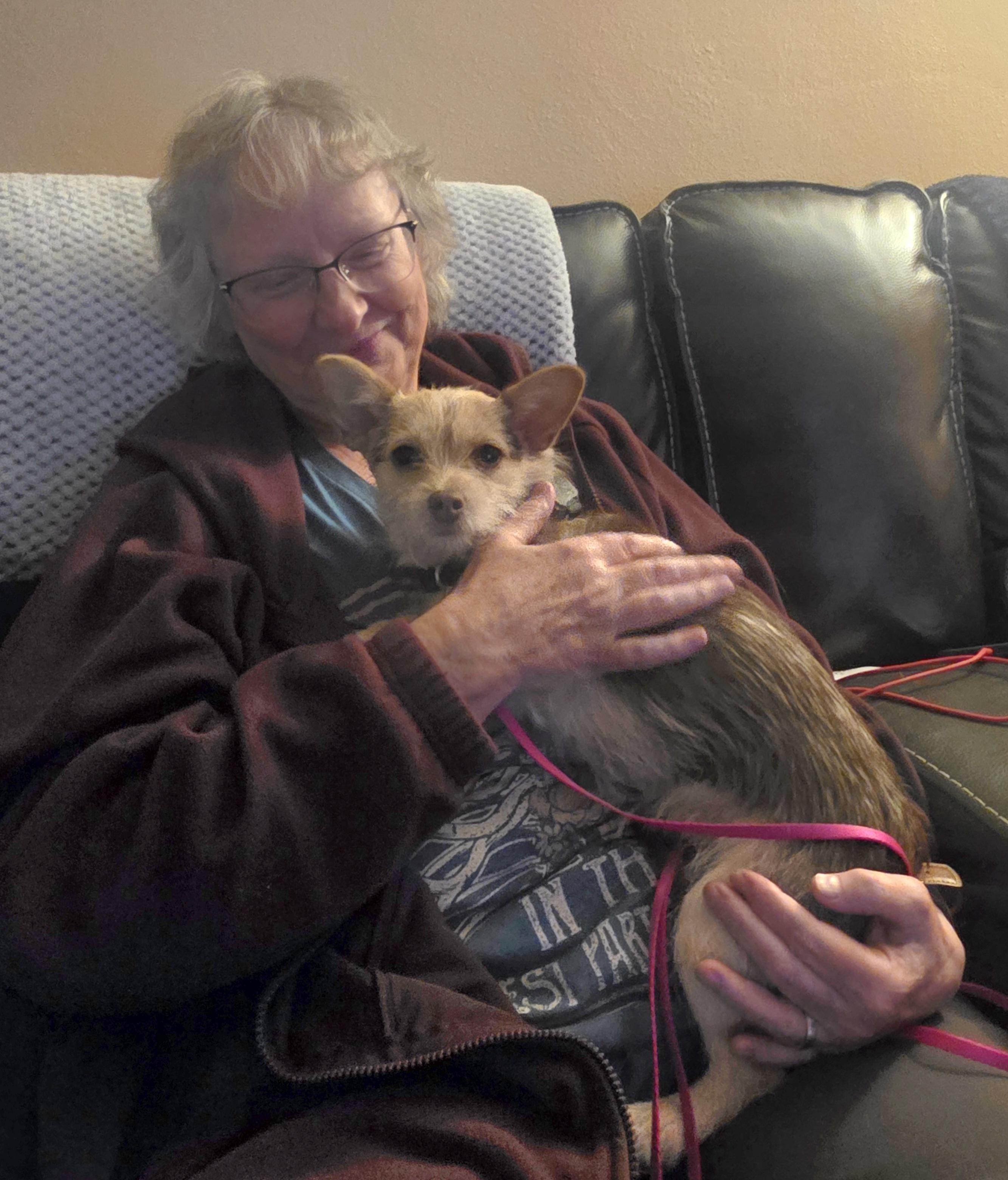 Mazie, a Adopted Cairn Terrier in Elk, WA image 1/6