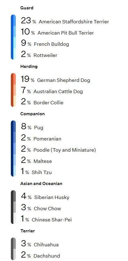 Enlarge Zac, a ADOPTABLE mixed breed in Lincoln, CA image 4/4