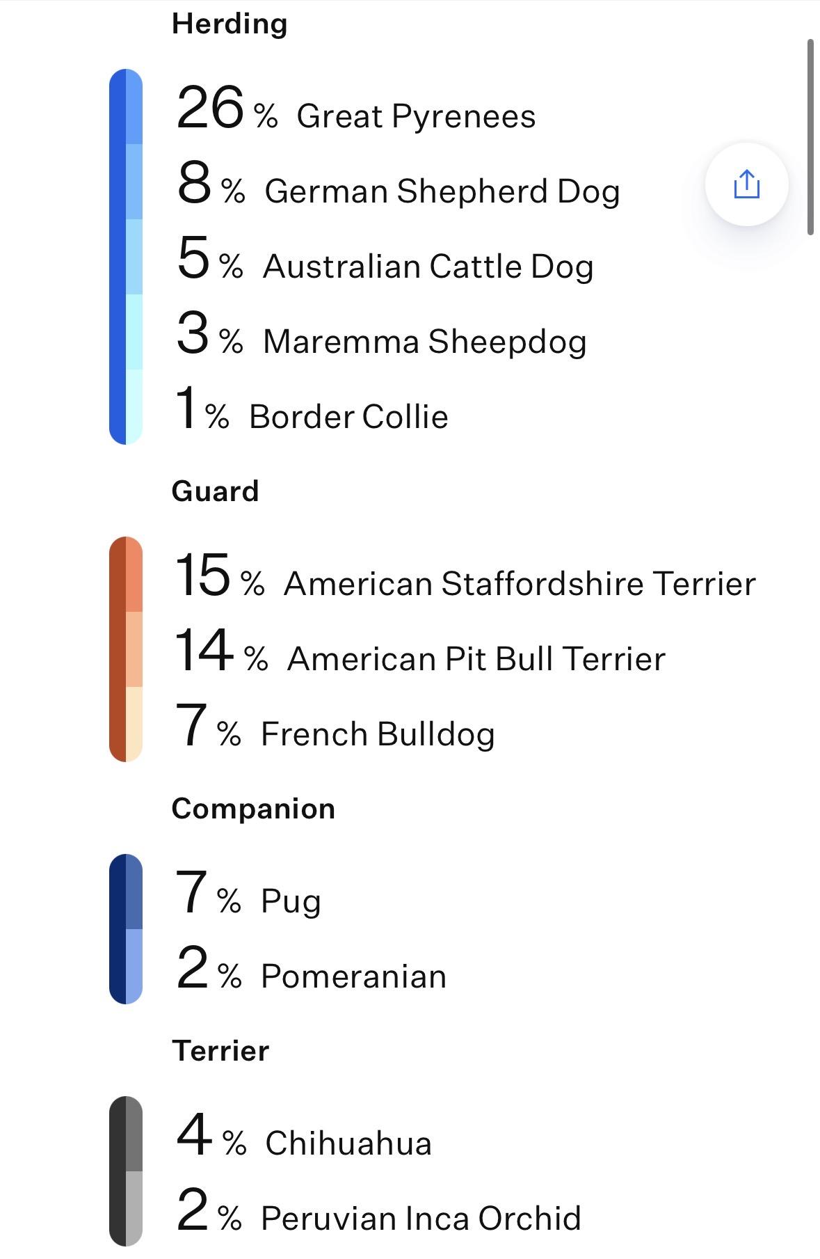 Enlarge Zac, a ADOPTABLE mixed breed in Lincoln, CA image 5/5