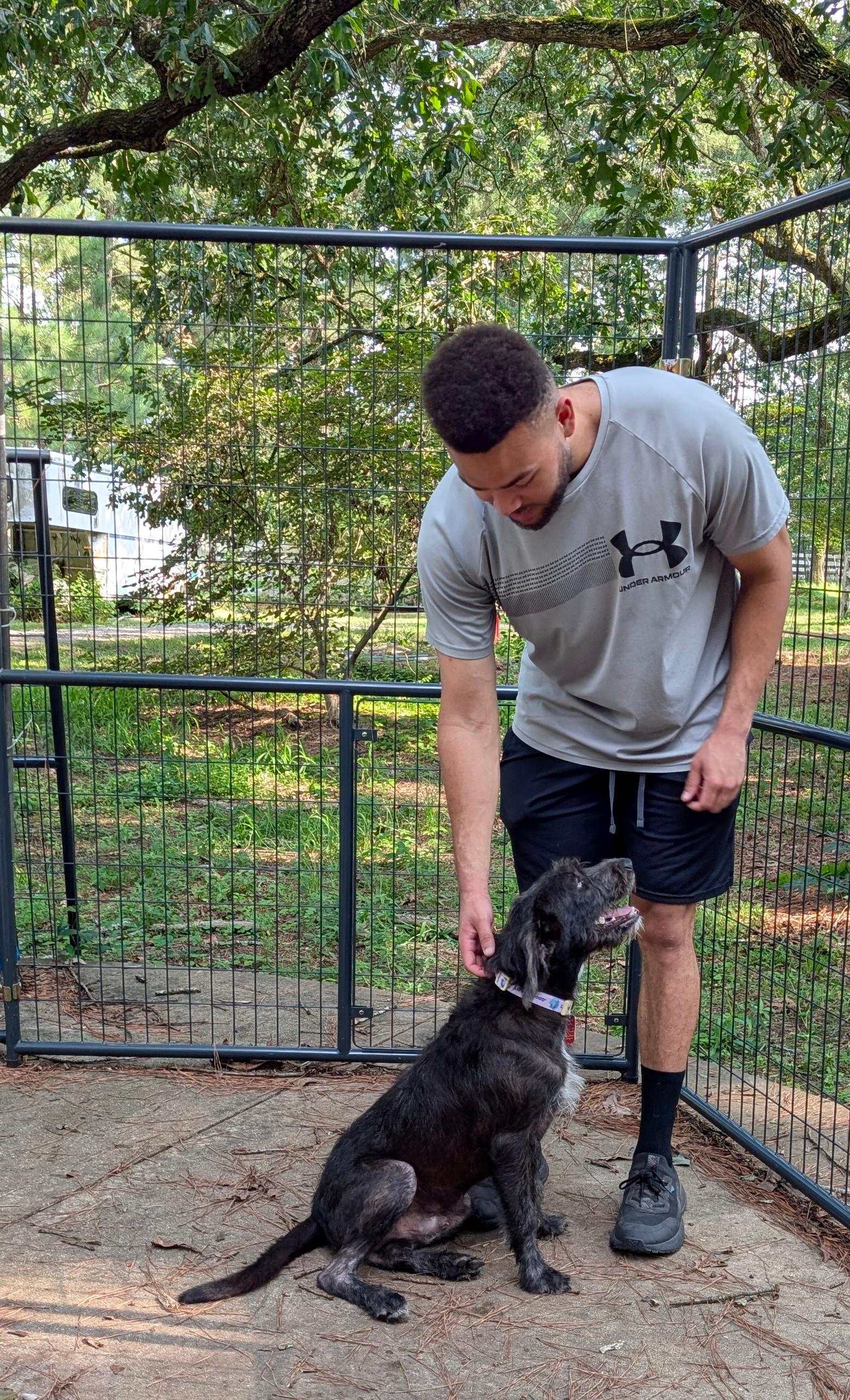 Enlarge Eddie - IN FOSTER HOME - AVAILABLE TO ADOPT, an adopted mixed breed in Clayton, NC image 2/6