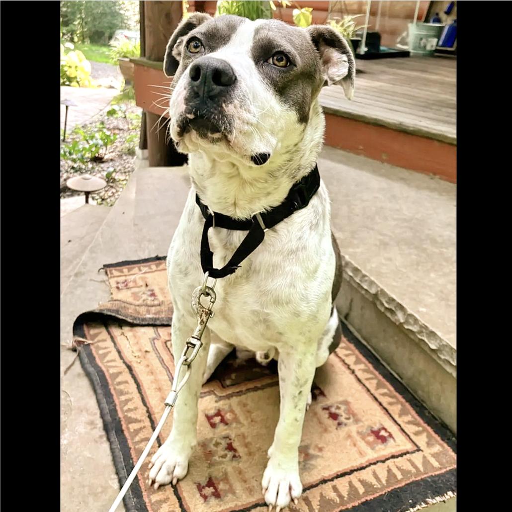 Kenny — thumbnail 5