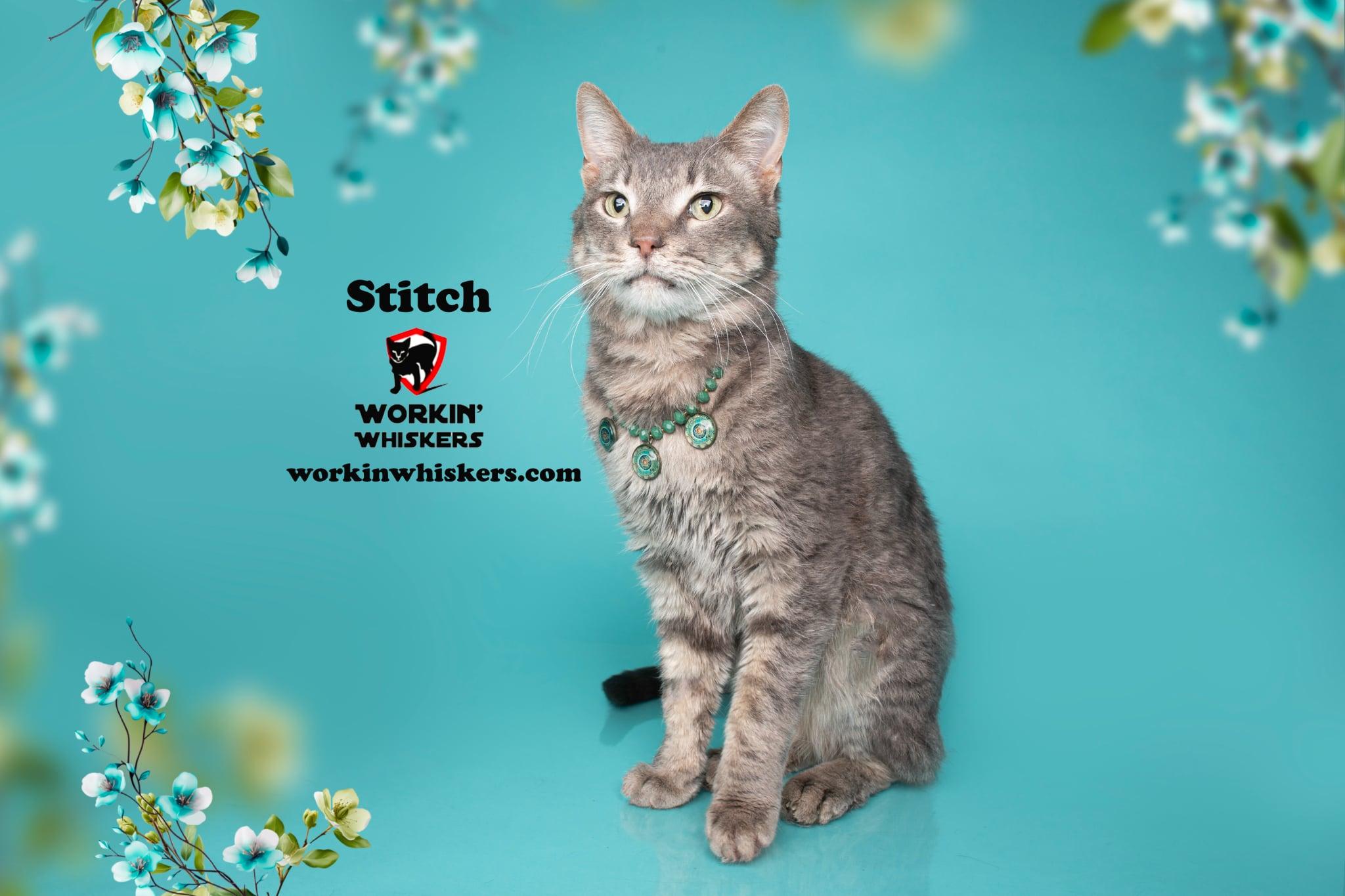 STITCH
