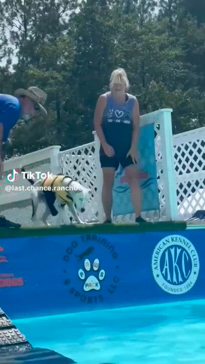 Enlarge Blue, a ADOPTABLE mixed breed in Aiken, SC video 2/6