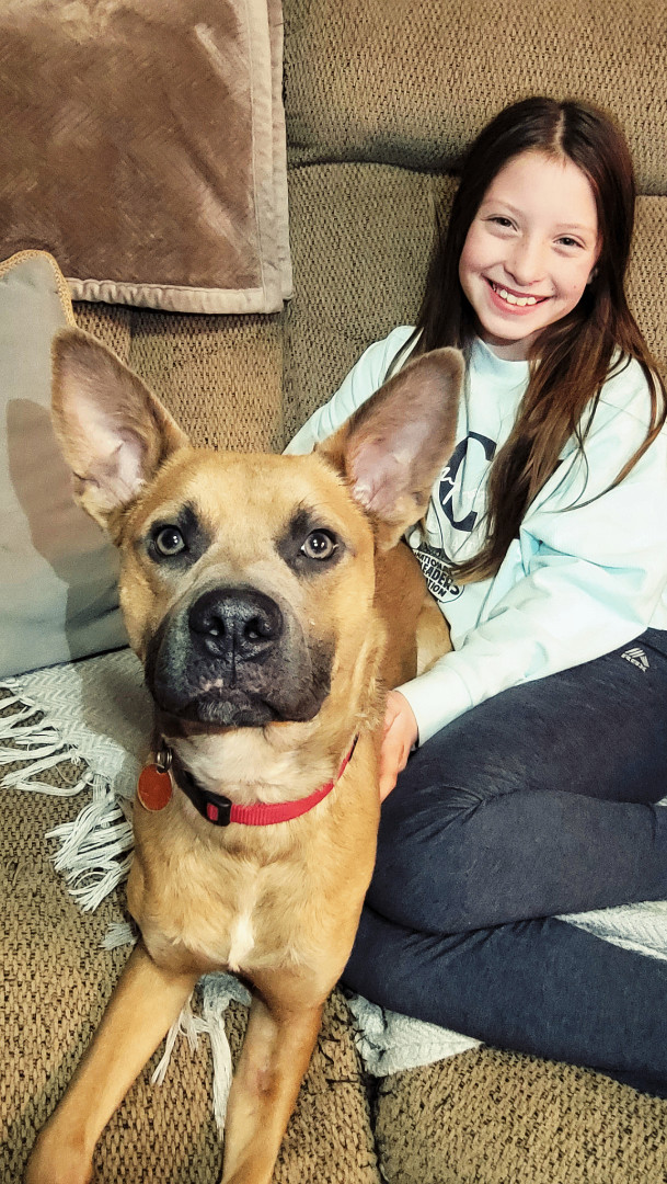 Robin, a Adoptable mixed breed in Oklahoma City, OK image 6/6