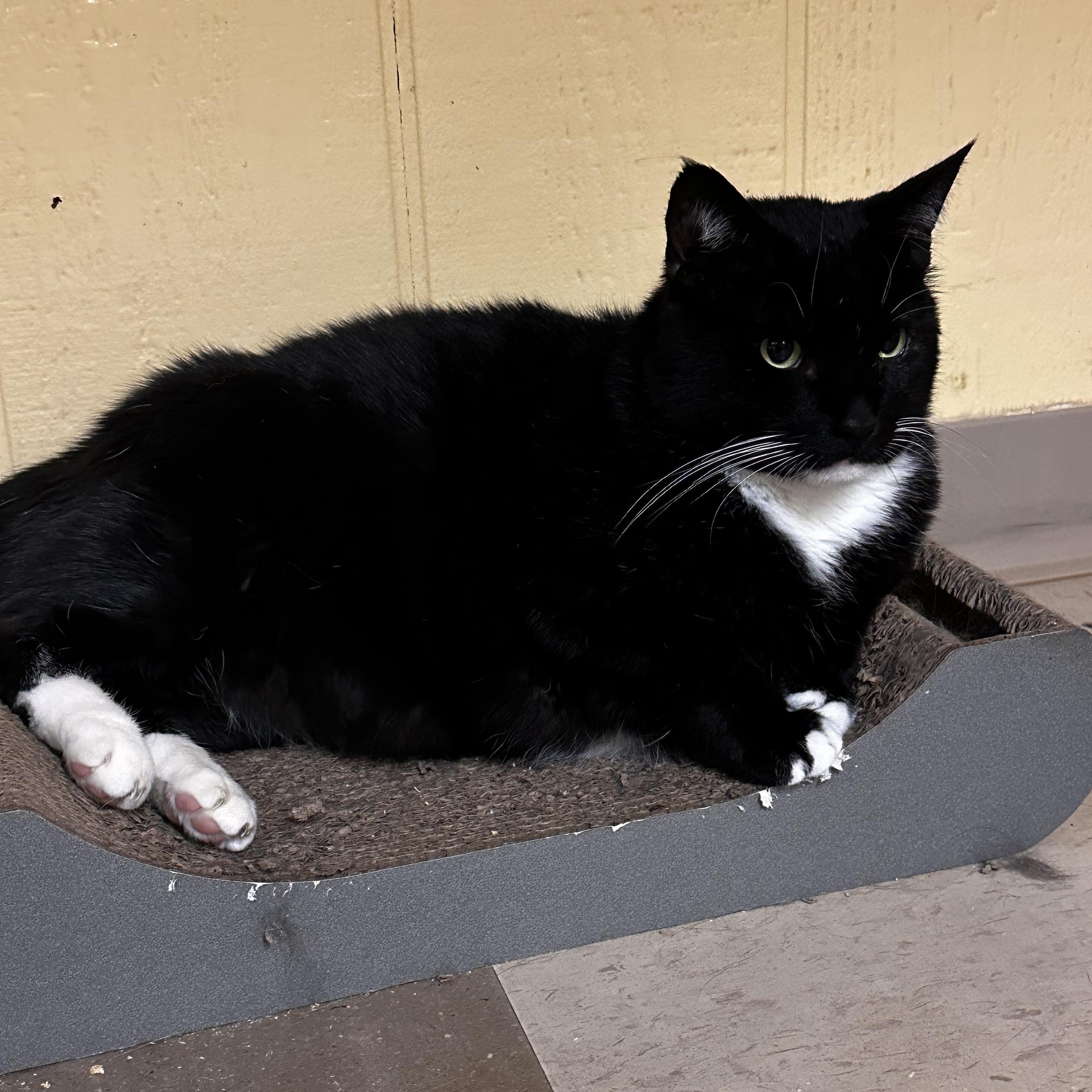 Sky Lucas thumbnail 7