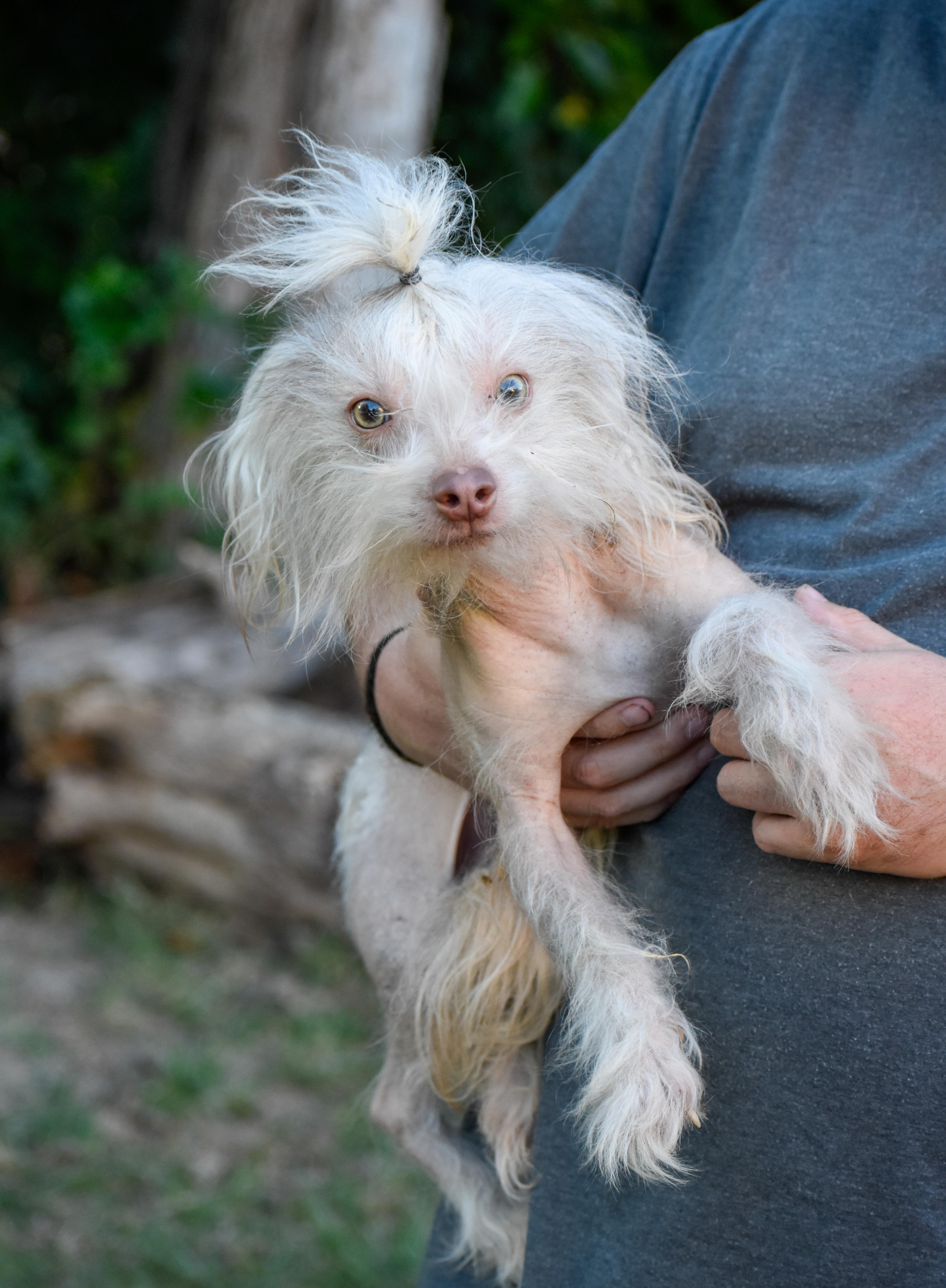 Skin Diesel thumbnail 2