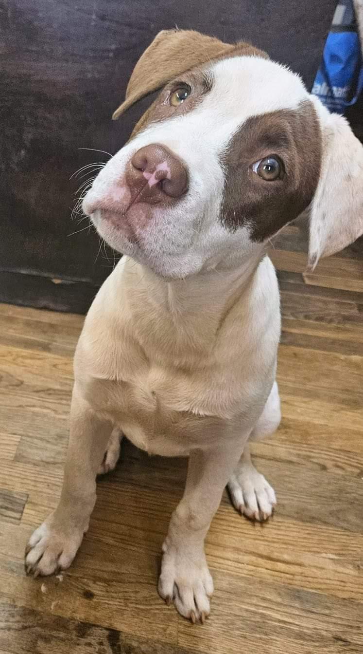 Mia And Frankie thumbnail 2