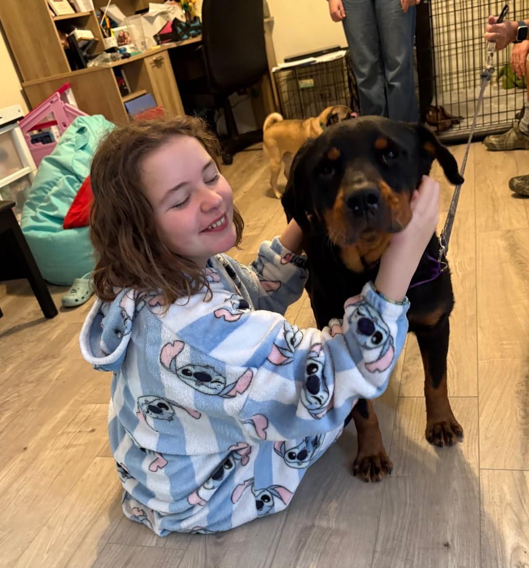 Enlarge Nala, an adopted mixed breed in Chesapeake, VA image 4/5