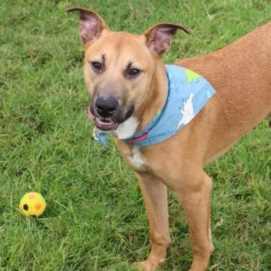 Timmy "a Loveable Guy!" thumbnail 2