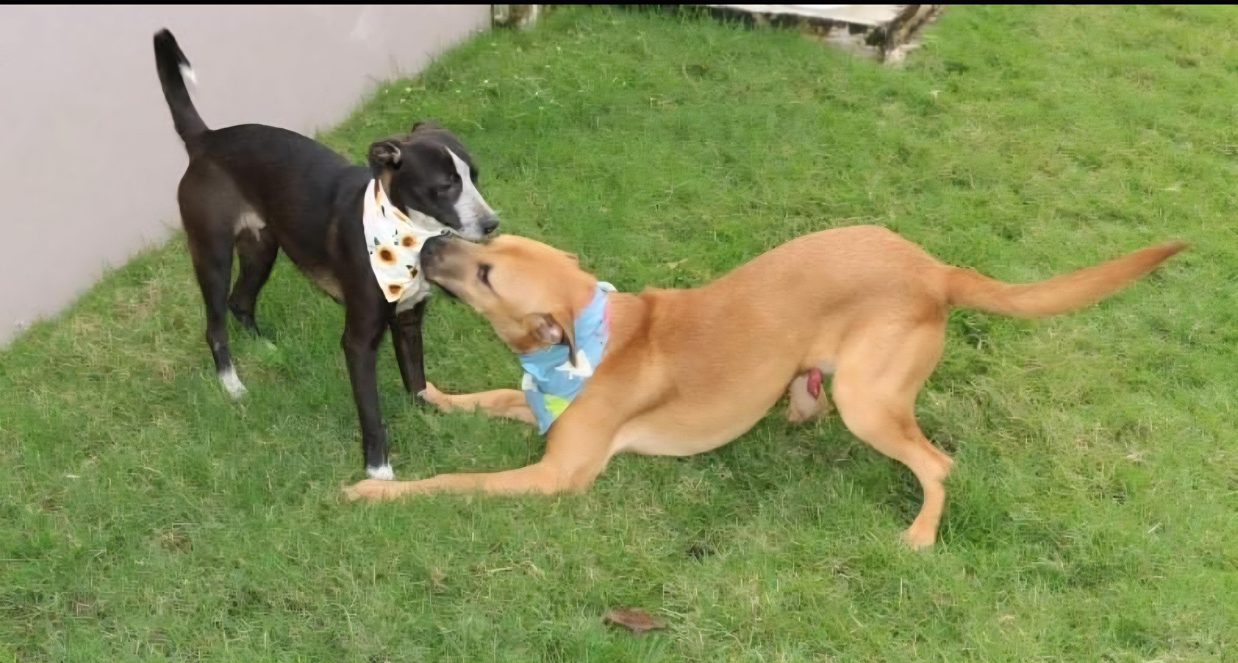 Timmy "a Loveable Guy!" thumbnail 3