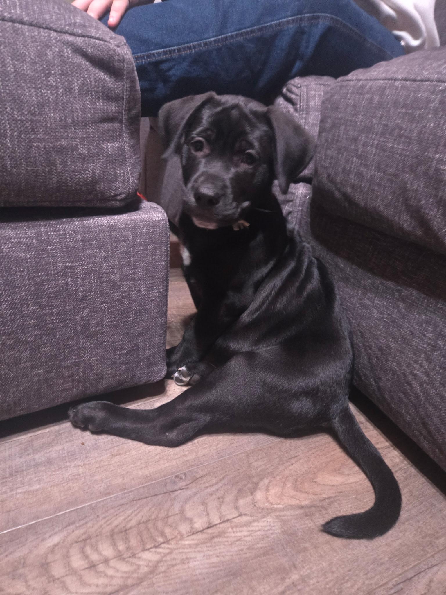 Hercules thumbnail 3