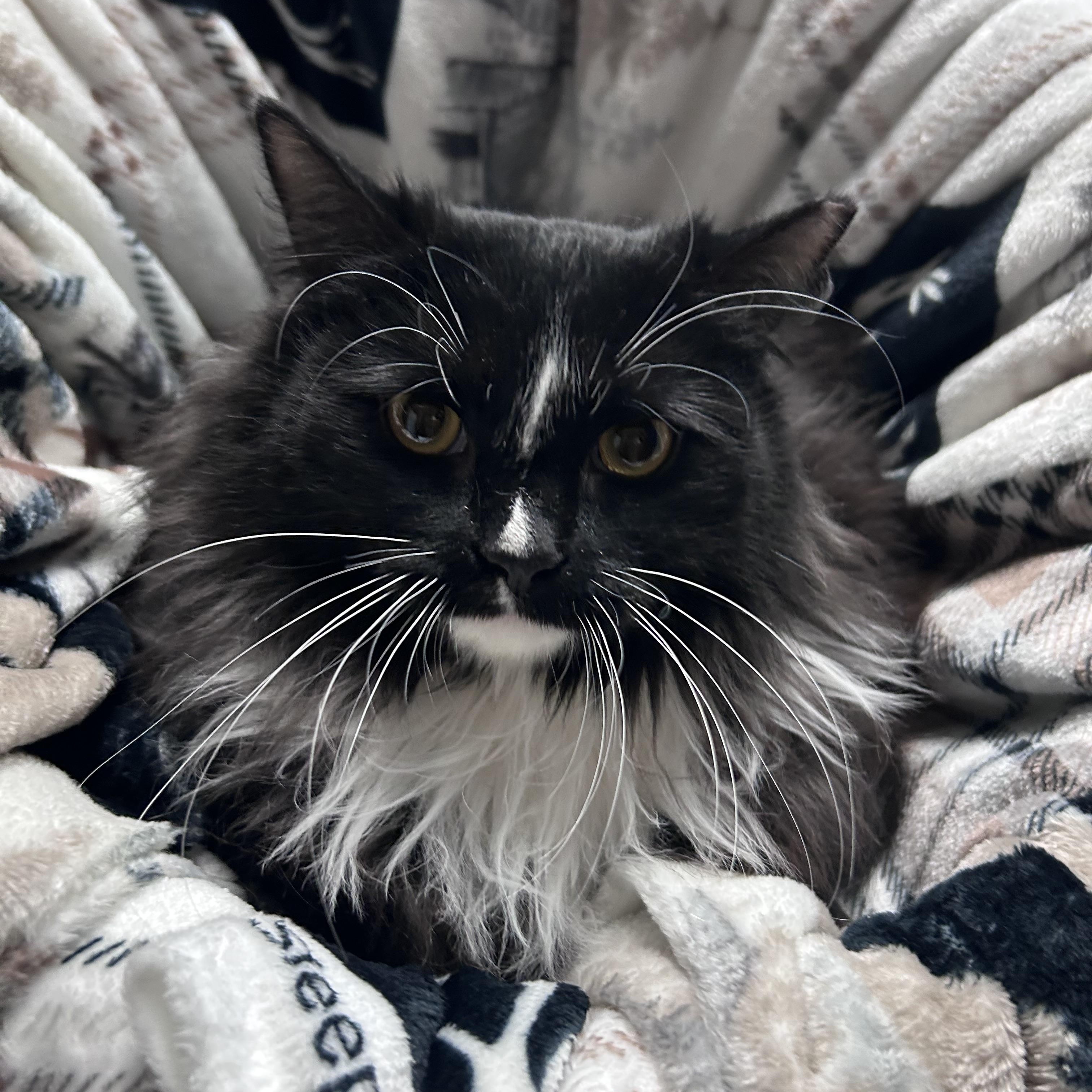 Lightning thumbnail 3