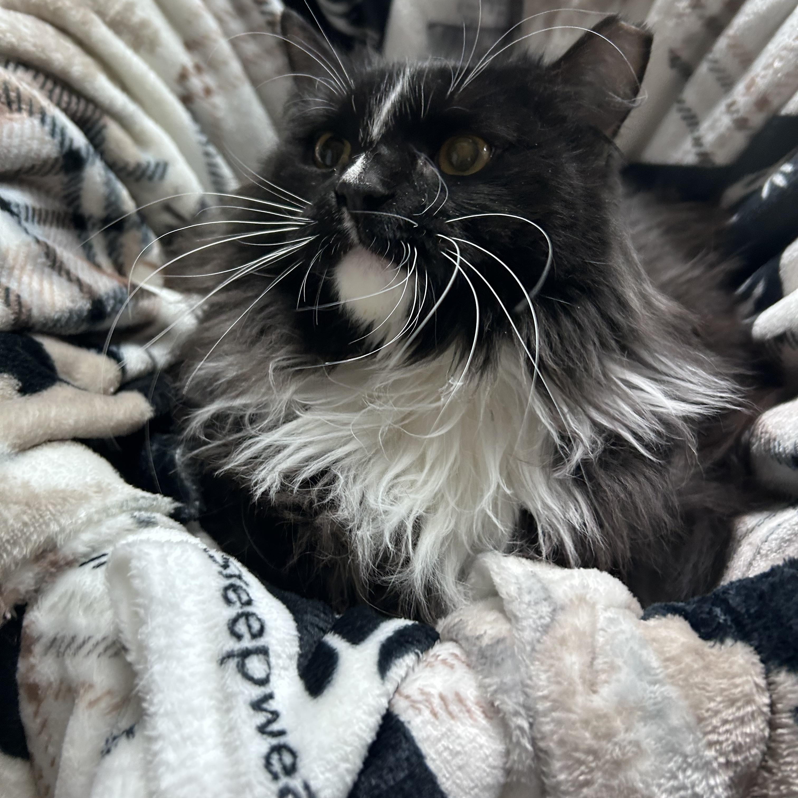 Lightning thumbnail 5