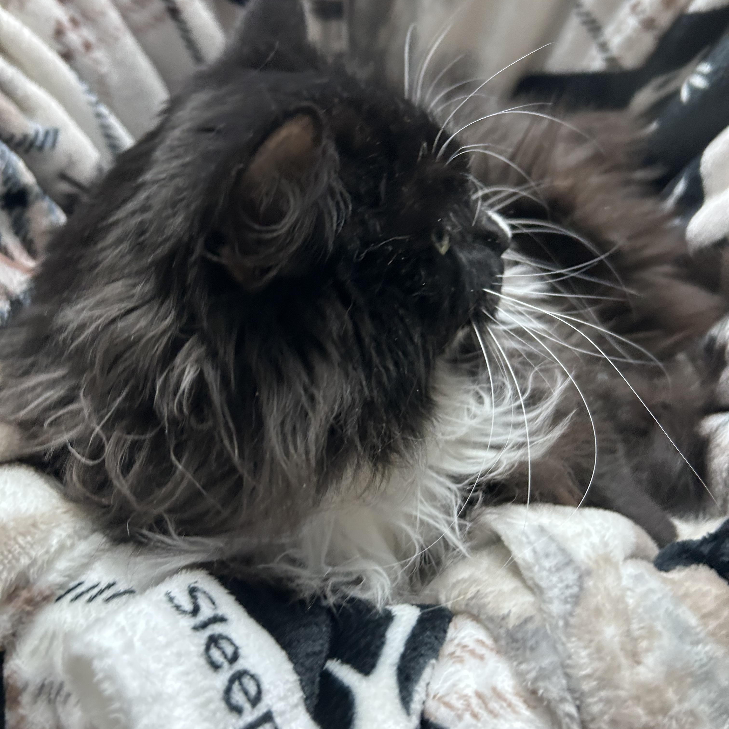 Lightning thumbnail 6