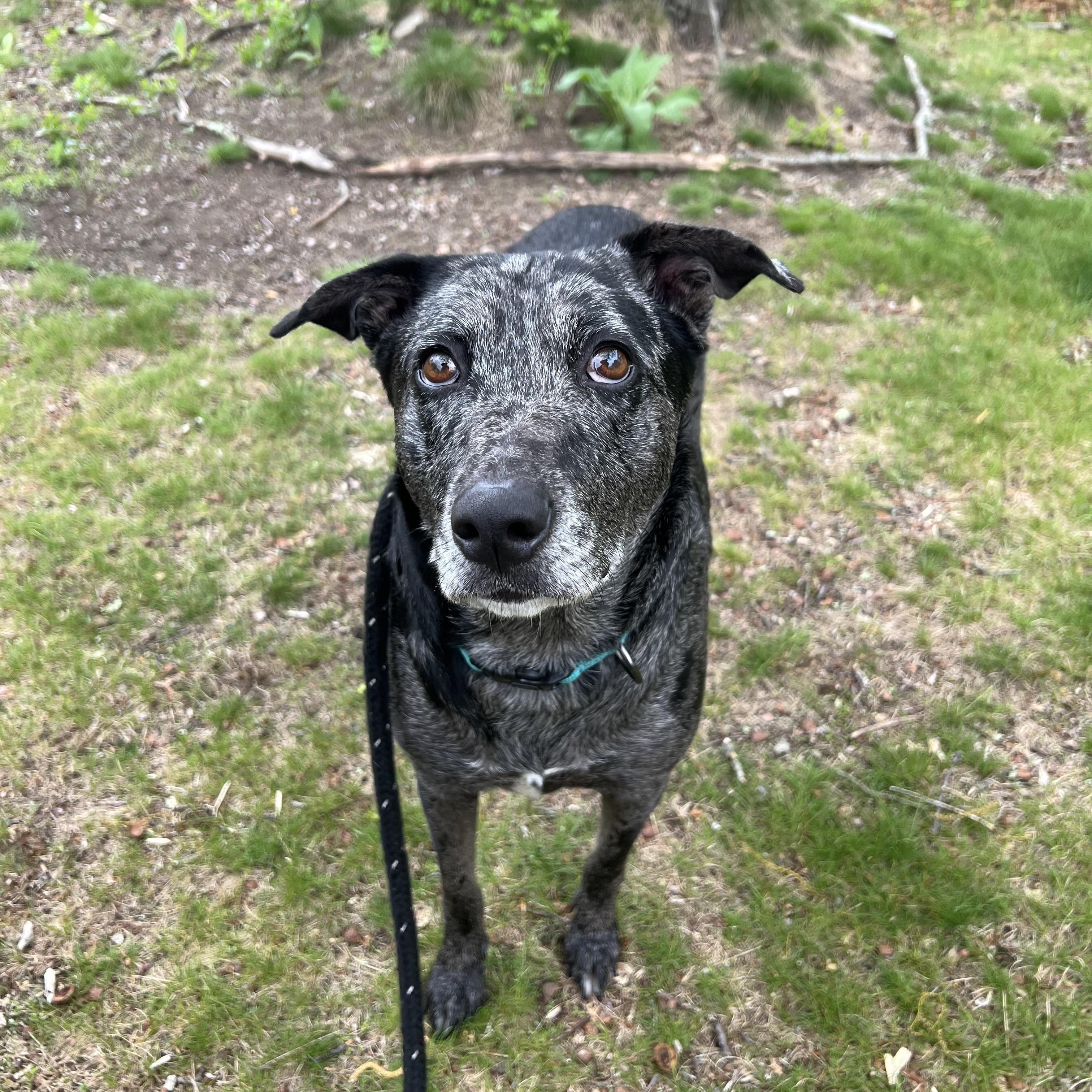 Stella photo 3