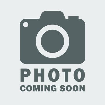 Merlin, an adoptable Mixed Breed in Denison, TX_image-1