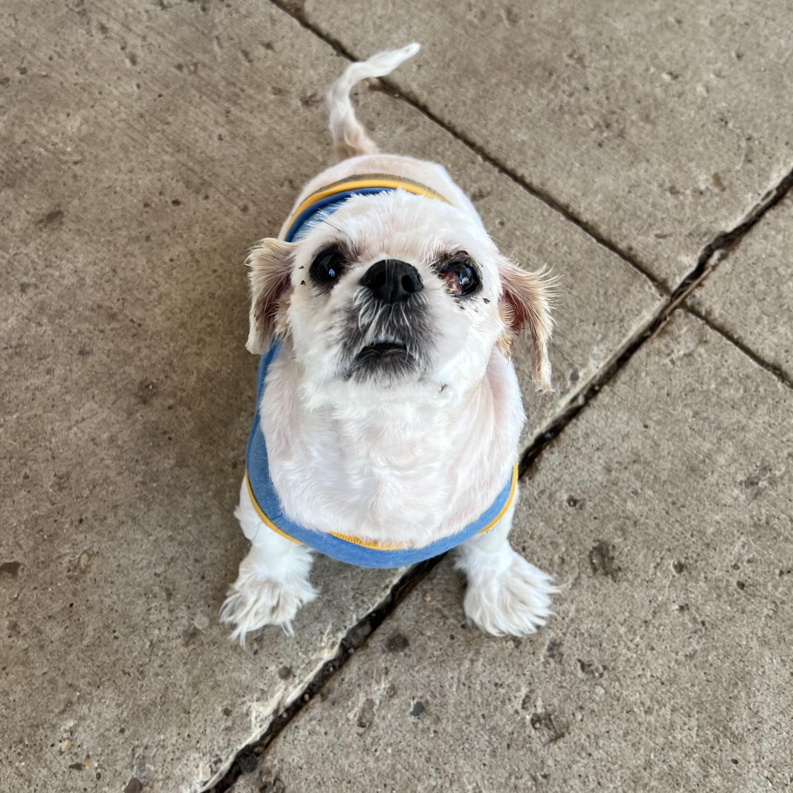 Daisy Mae
