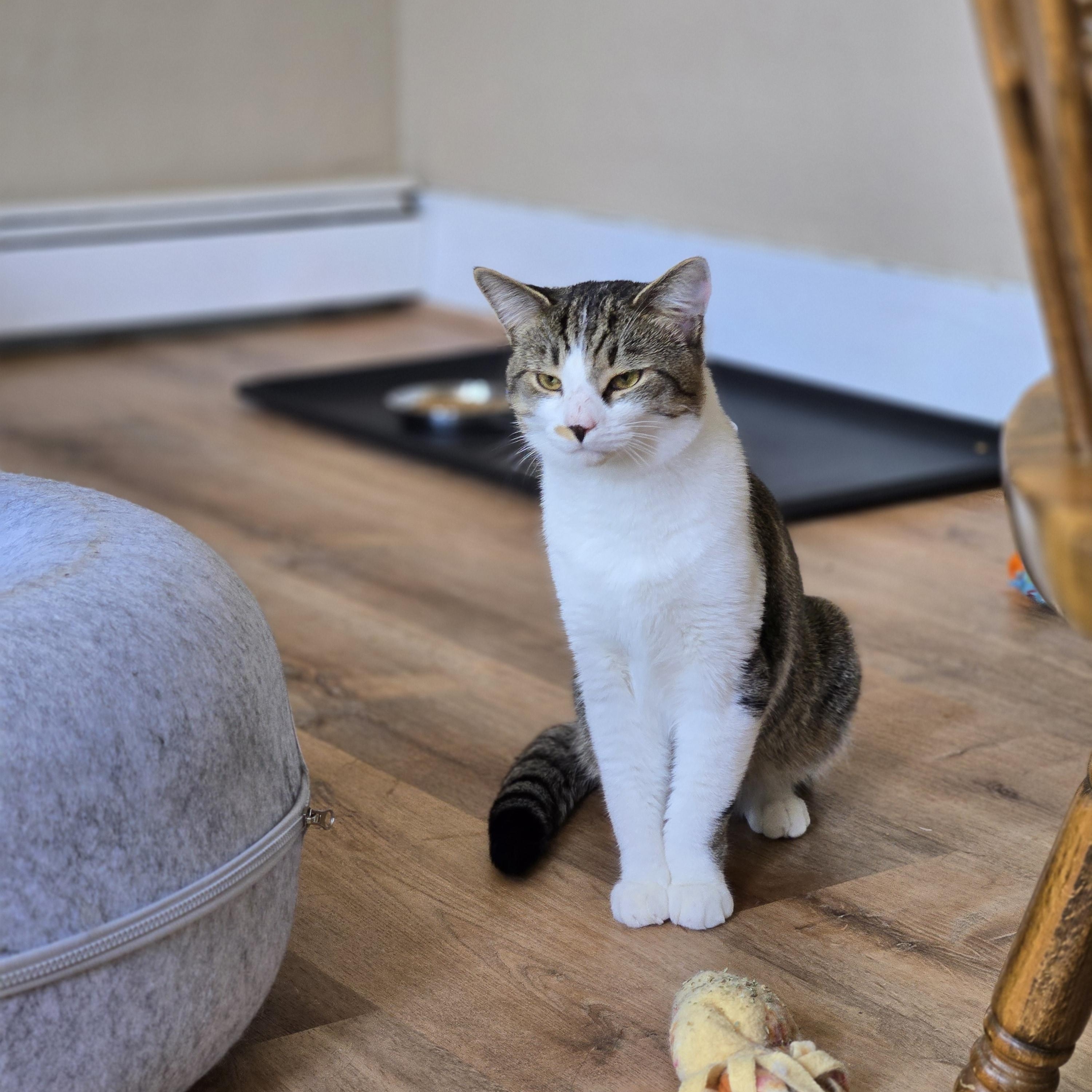 Bentley - One of the Guys