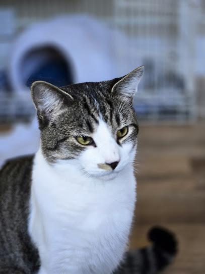 Bentley - One of the Guys