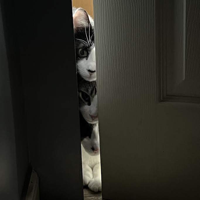 Squirt & Sunnie, Hootie & Trixie