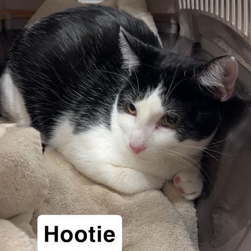 Squirt & Sunnie, Hootie & Trixie — thumbnail 2