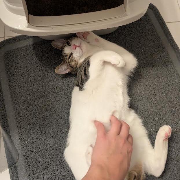 Squirt & Sunnie, Hootie & Trixie — thumbnail 5