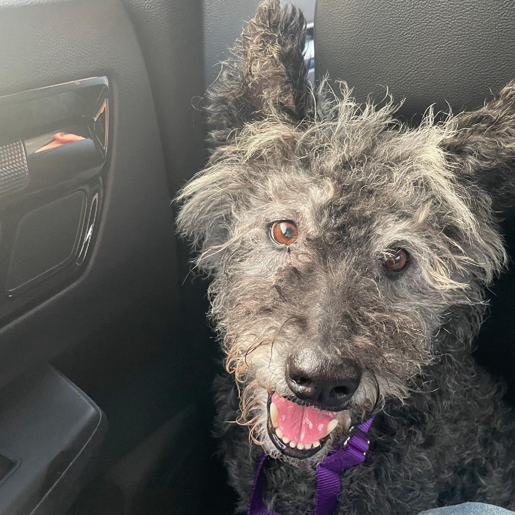 Rory — thumbnail 2