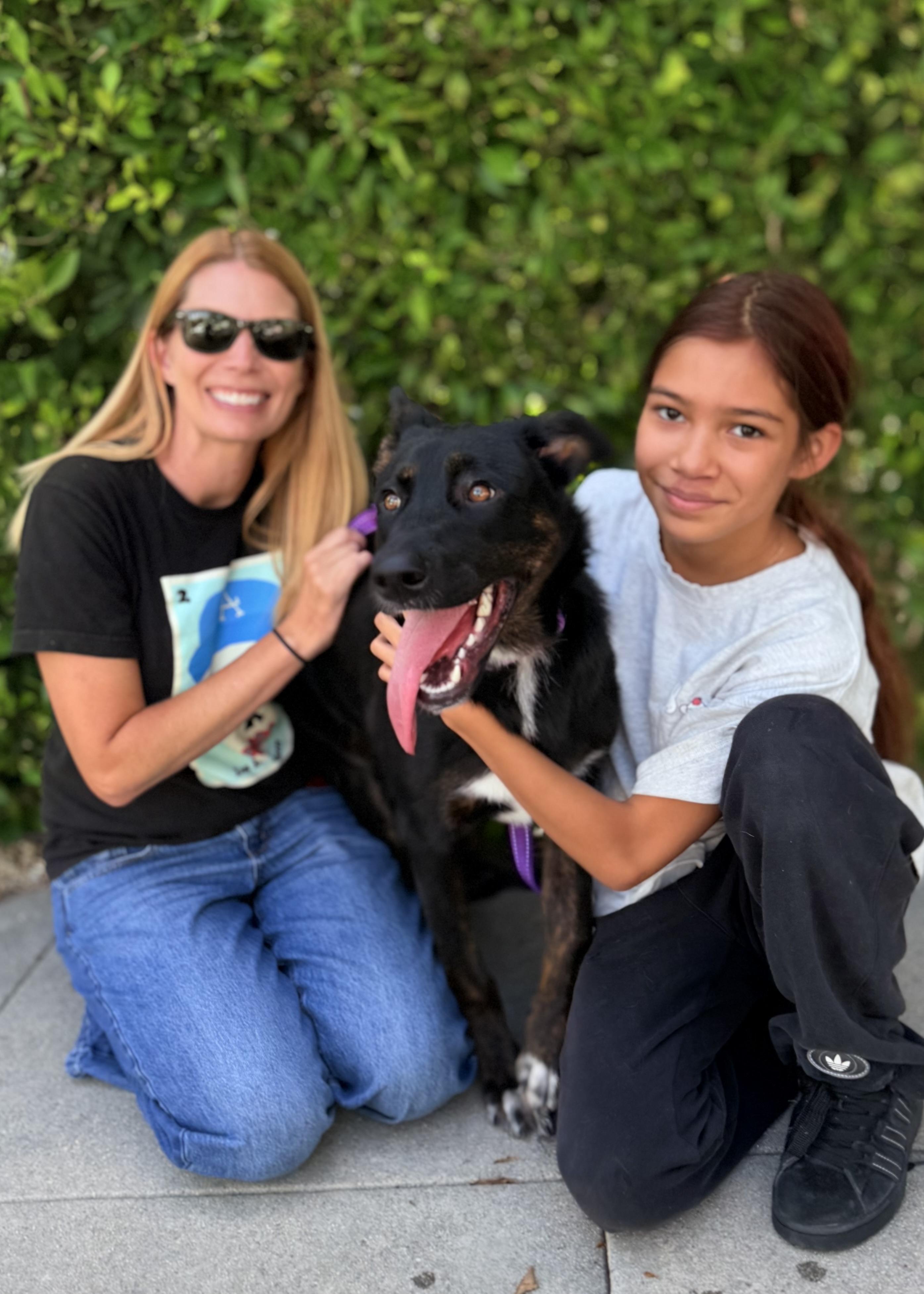 Twinkle, a ADOPTABLE mixed breed in Thousand Oaks, CA image 3/6