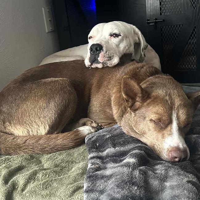 Luna Lu & Ghost