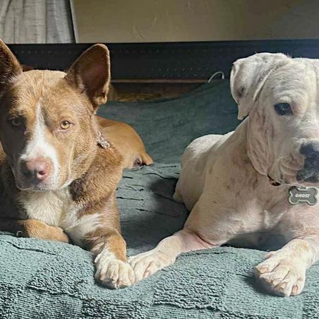 Luna Lu & Ghost