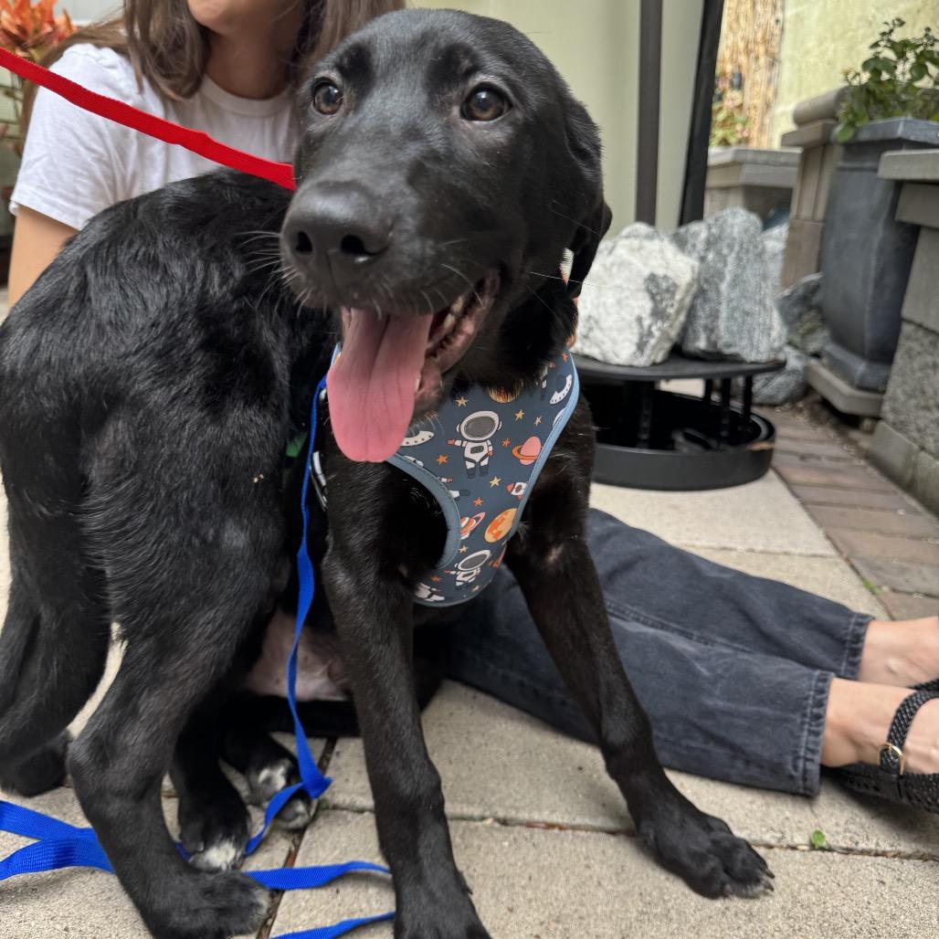 Fluffernutter — thumbnail 4