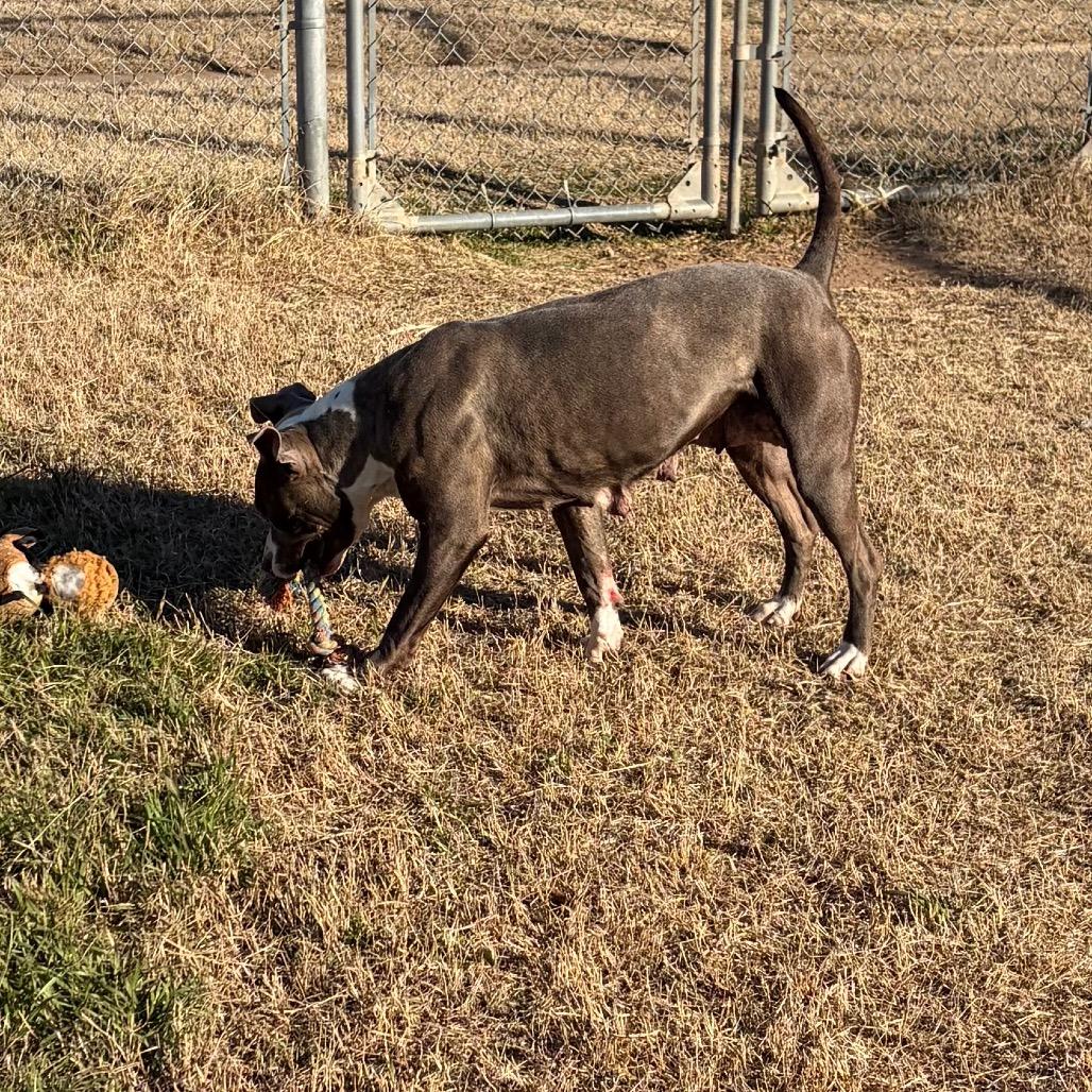 Bahama — thumbnail 3