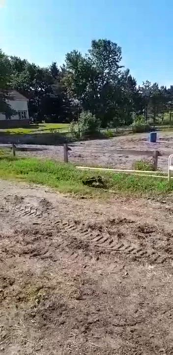 Enlarge Limette, COURTESY POSTING, a Adopted Dachshund in Mississauga, ON video 6/6