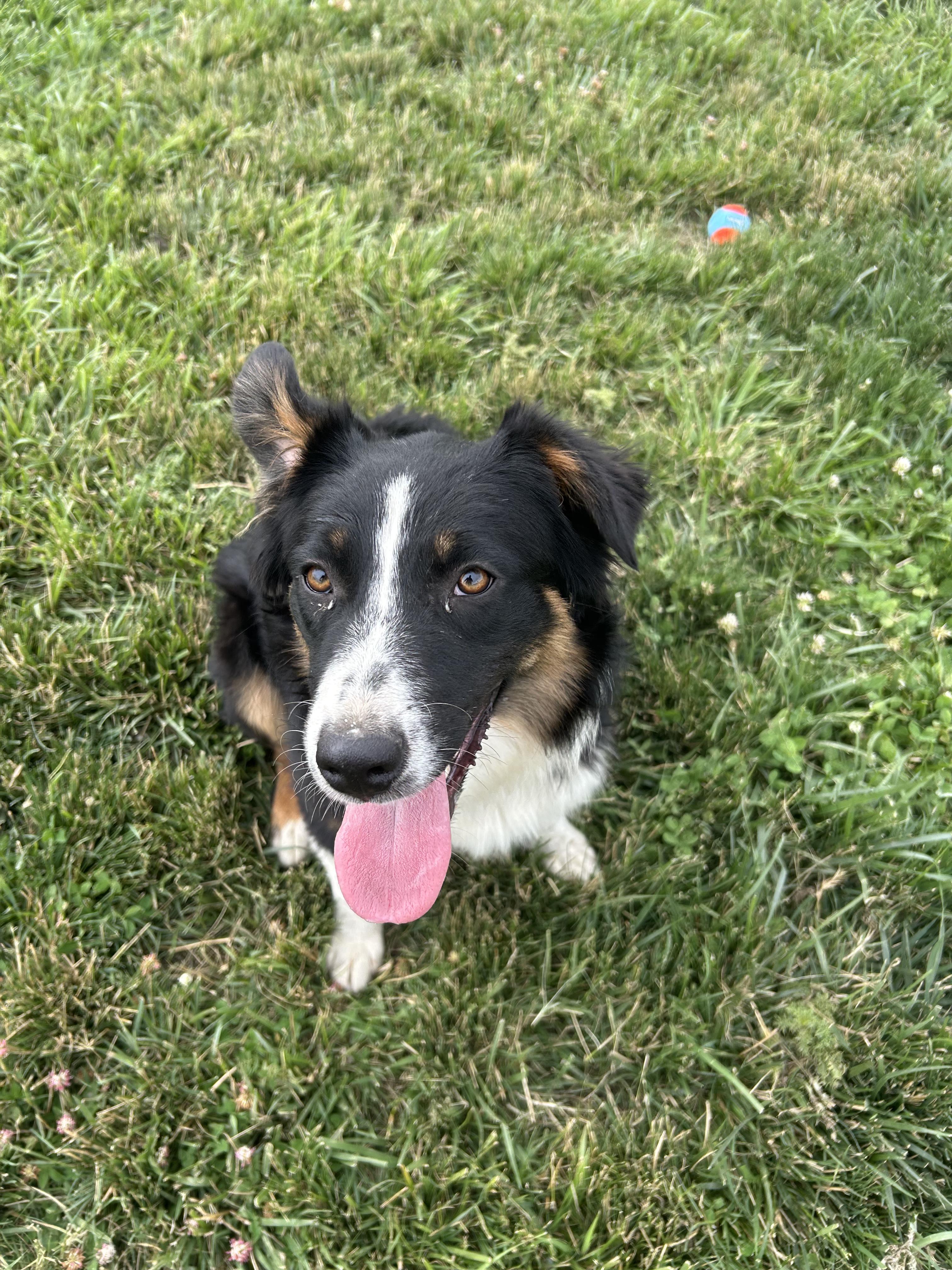Lilly