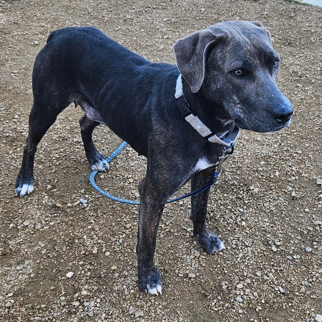 Tatiana — thumbnail 2