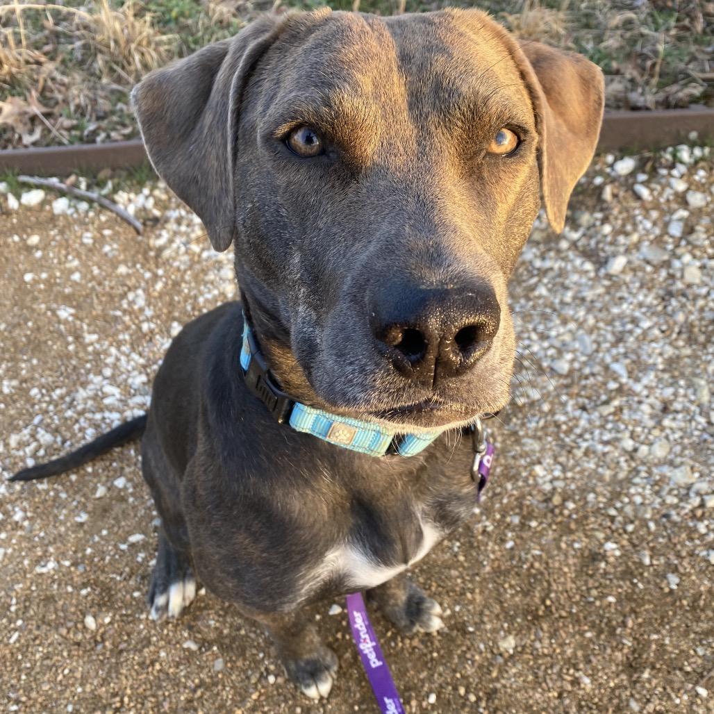 Tatiana — thumbnail 3