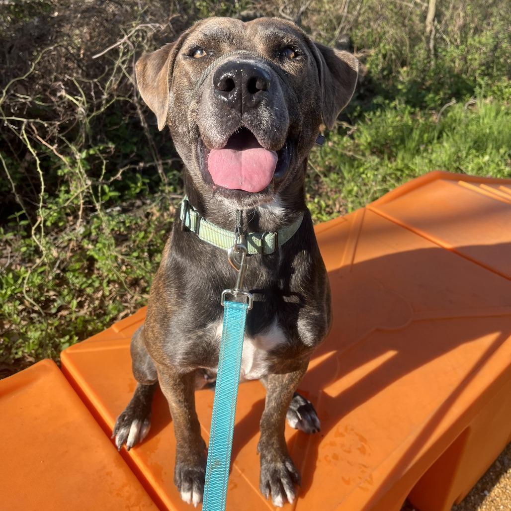 Tatiana — thumbnail 4