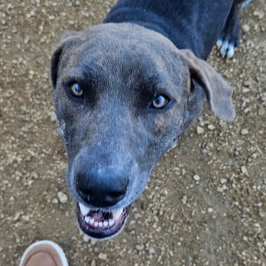 Tatiana — thumbnail 5