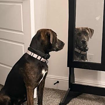 Tatiana — thumbnail 6