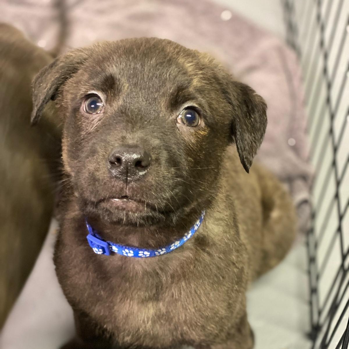 Roosevelt thumbnail 3