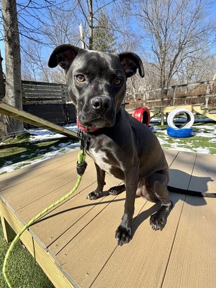 Éire FKA Strawberry