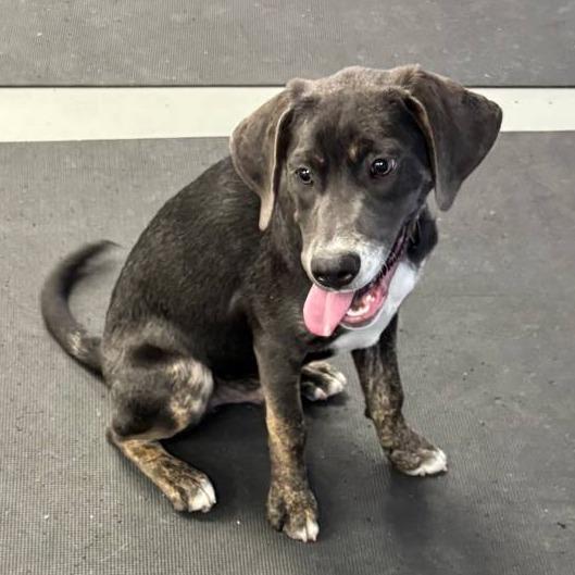 Christian — thumbnail 2