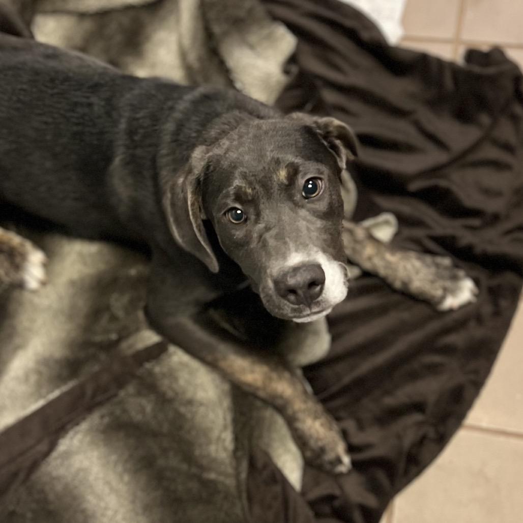 Christian — thumbnail 3