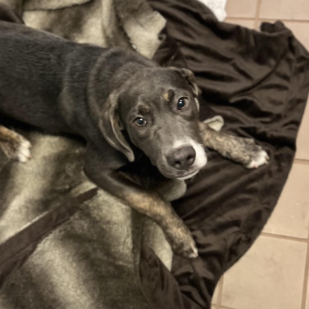 Christian — thumbnail 4