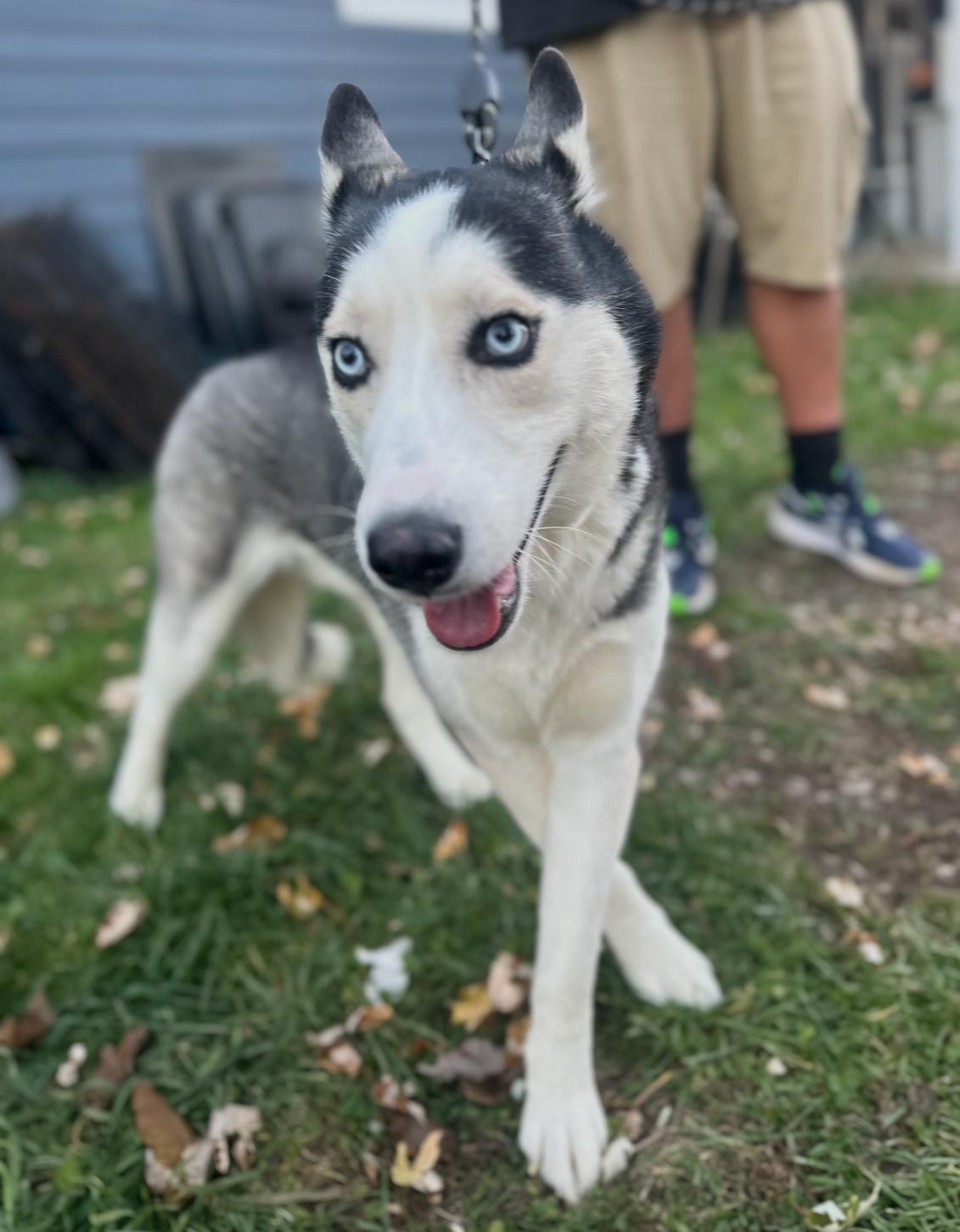 Hades! Sweet Easy Gentle