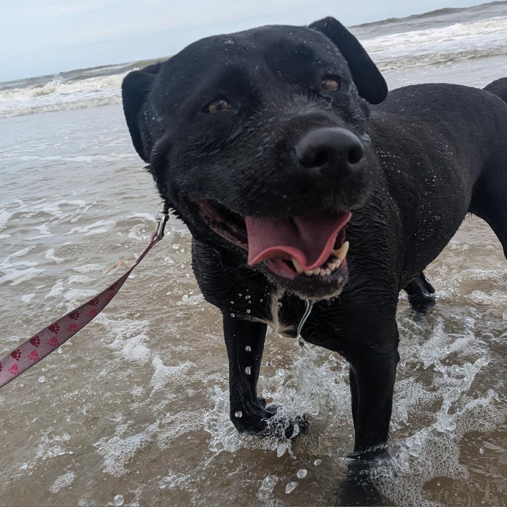 Ella — thumbnail 3