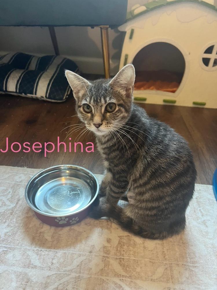 Josephina — thumbnail 2