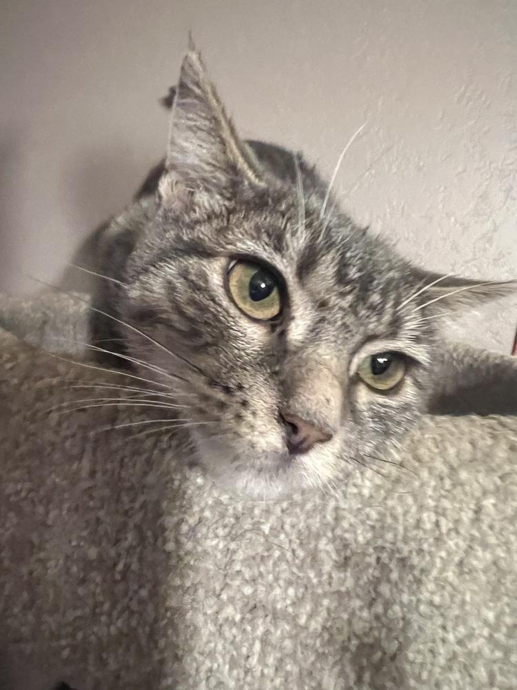 Josephina — thumbnail 5