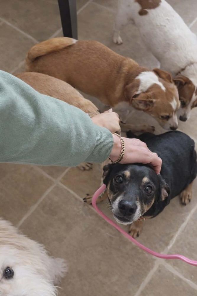 Egypt — thumbnail 2