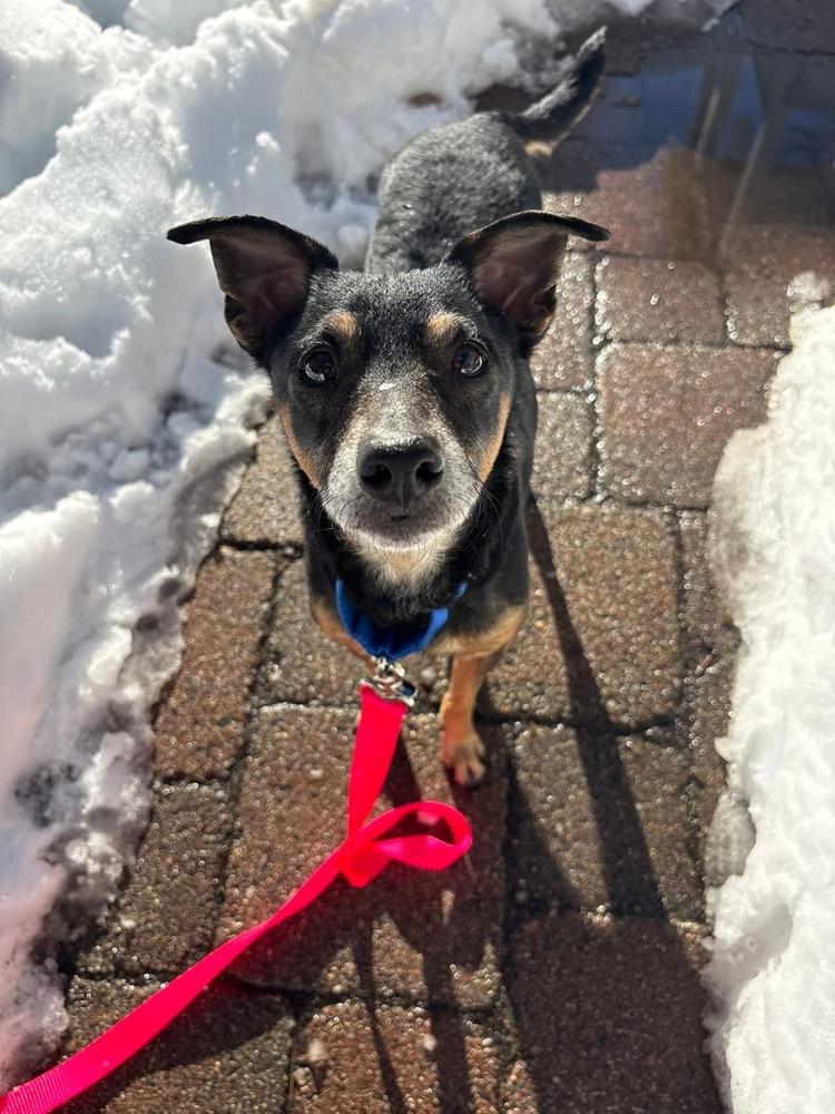 Egypt — thumbnail 3